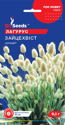 Лагурус Зайцехвіст сухоцвіт 1836 фото