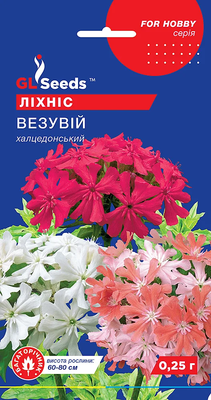 Лихнис Везувий 1838 фото