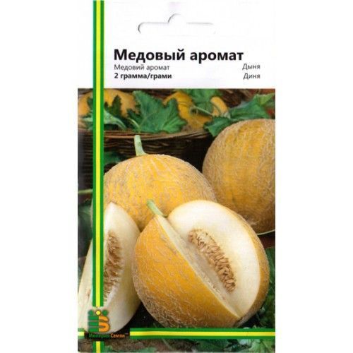 Дыня Медовый аромат 1311 фото
