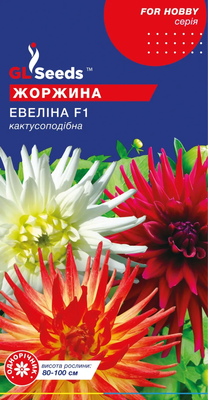 Георгина Эвелина F1 2215 фото