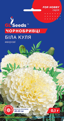 Чорнобривці Біла куля низькі 2079 фото