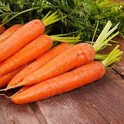 Морковь Красная боярыня  697 фото