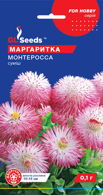 Маргаритка Монтеросса  1844 фото