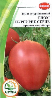 Томат Гном Пурпурне серце 2467 фото