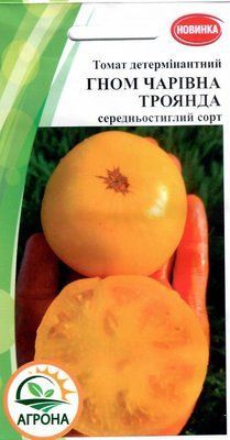 Томат Гном Чарівна троянда 2465 фото