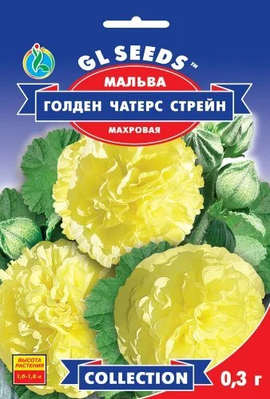 Мальва Голден Чатерз Стрейн 2084 фото