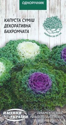 Капуста Декоративная бахромчастая смесь 2173 фото