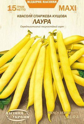 Фасоль спаржевая Лаура 2492 фото