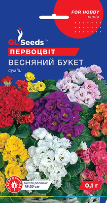 Примула Весенний букет 1852 фото