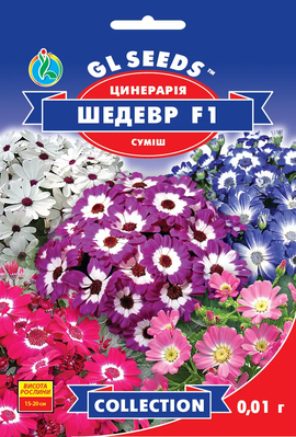 Цинерарія квітуча Шедевр F1  1904 фото