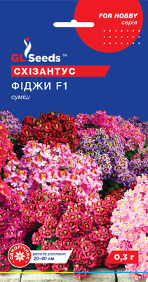 Схізантус Фіджі F1 1856 фото