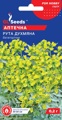 Рута духм'яна 2094 фото