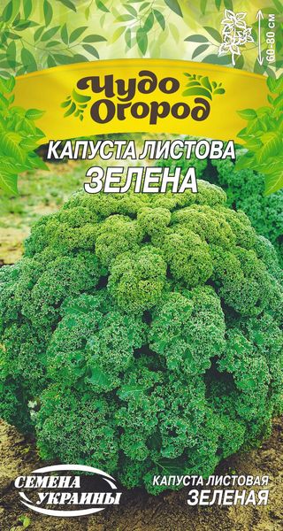 Капуста Листова зелена 1374 фото