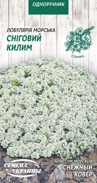 Лобулярия (алиссум) Снежный ковер 964 фото