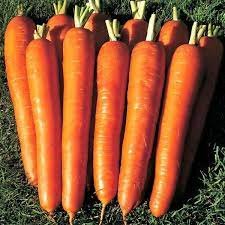 Морква Вітамінна 6 197 фото