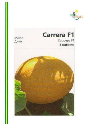 Дыня Каррера 2393 фото