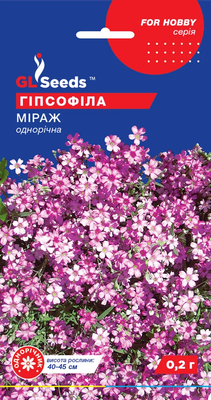 Гіпсофіла Міраж 1819 фото