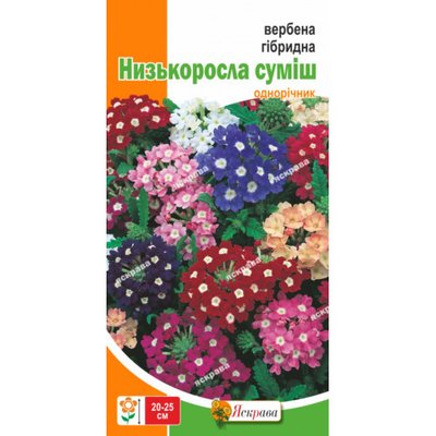 Вербена гібридна низькоросла суміш 1196 фото