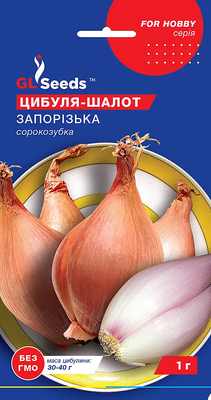 Лук-шалот Запорожский сорокозубка 2008 фото