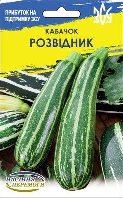 Кабачки Разведчик 1385 фото