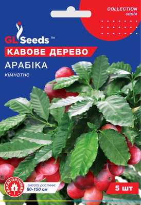 Кофейное дерево Арабика 1872 фото