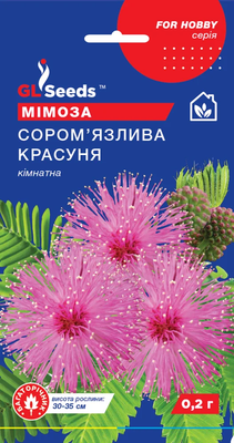 Мімози Сором'язлива красуня кімнатна 1779 фото