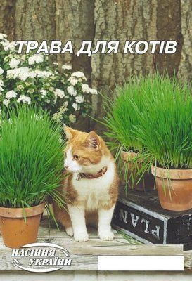 Трава для котів 833 фото