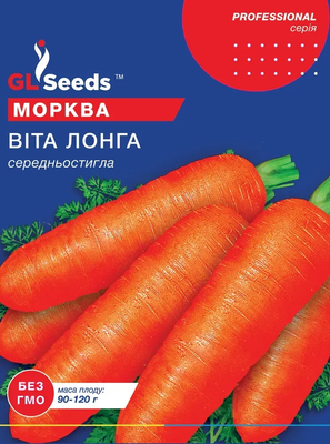 Морковь Вита лонга 2404 фото
