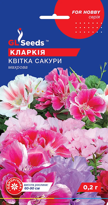 Кларкія Квітка Сакури 1831 фото