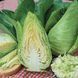 Капуста Експрес 156 фото 1